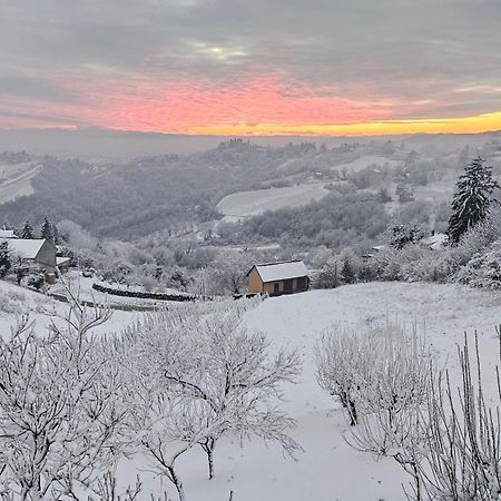 亚斯特雷巴斯科Wine Panorama House别墅 外观 照片
